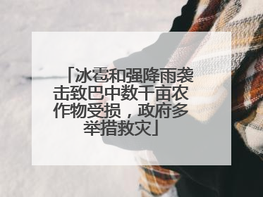 冰雹和强降雨袭击致巴中数千亩农作物受损，政府多举措救灾