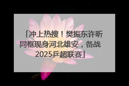 冲上热搜！樊振东许昕同框现身河北雄安，备战2025乒超联赛