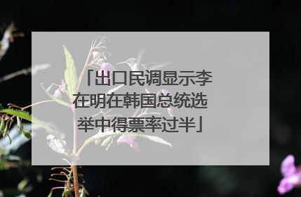 出口民调显示李在明在韩国总统选举中得票率过半
