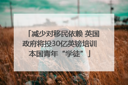 减少对移民依赖 英国政府将投30亿英镑培训本国青年“学徒”