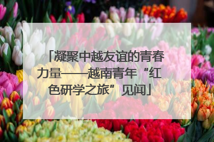 凝聚中越友谊的青春力量——越南青年“红色研学之旅”见闻