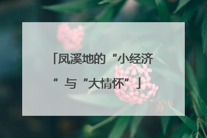 凤溪地的“小经济”与“大情怀”
