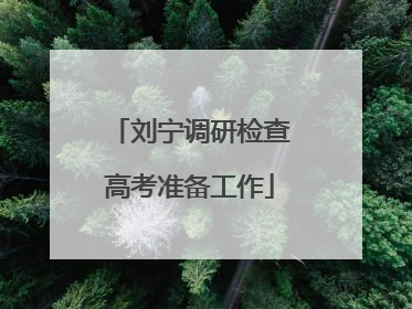 刘宁调研检查高考准备工作