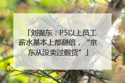刘强东：P5以上员工薪水基本上都翻倍，“京东从没卖过假货”