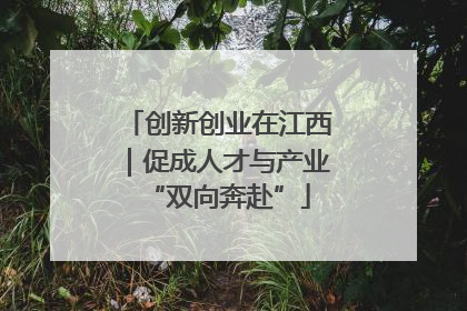 创新创业在江西｜促成人才与产业“双向奔赴”