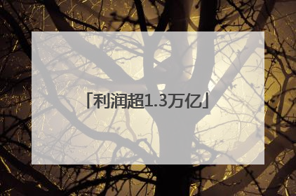 利润超1.3万亿