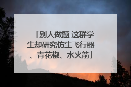 别人做题 这群学生却研究仿生飞行器、青花椒、水火箭