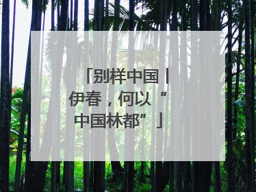 别样中国丨伊春，何以“中国林都”