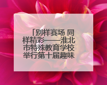 别样赛场 同样精彩——淮北市特殊教育学校举行第十届趣味运动会