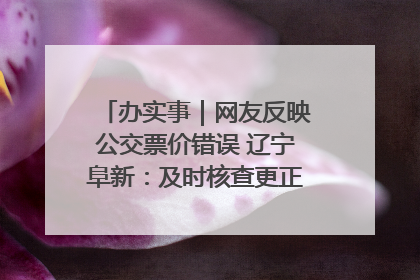 办实事｜网友反映公交票价错误 辽宁阜新：及时核查更正 加强实时巡检