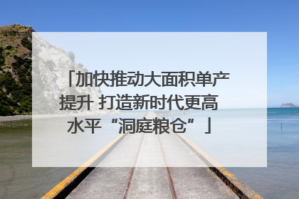 加快推动大面积单产提升 打造新时代更高水平“洞庭粮仓”