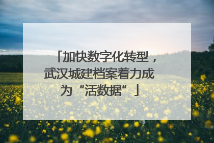 加快数字化转型，武汉城建档案着力成为“活数据”
