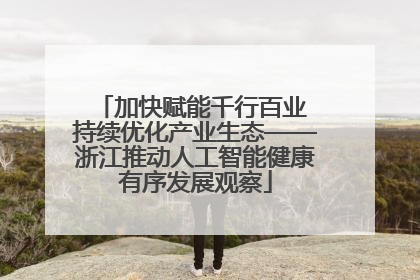 加快赋能千行百业 持续优化产业生态——浙江推动人工智能健康有序发展观察
