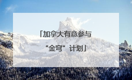 加拿大有意参与“金穹”计划
