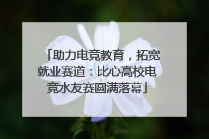 助力电竞教育，拓宽就业赛道：比心高校电竞水友赛圆满落幕