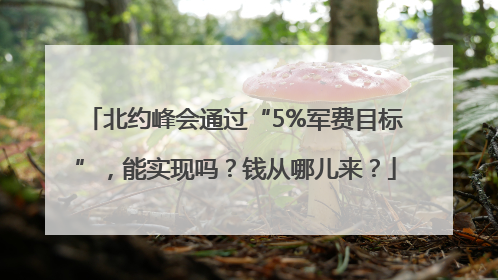 北约峰会通过“5%军费目标”，能实现吗？钱从哪儿来？