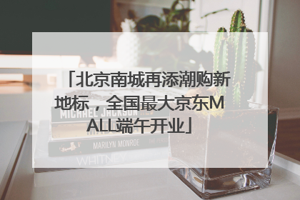 北京南城再添潮购新地标，全国最大京东MALL端午开业