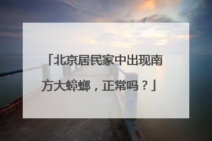 北京居民家中出现南方大蟑螂，正常吗？