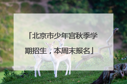 北京市少年宫秋季学期招生，本周末报名