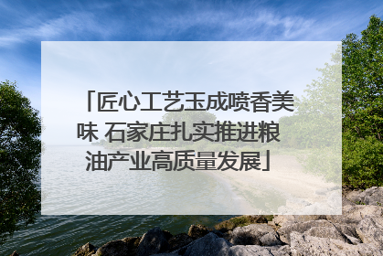 匠心工艺玉成喷香美味 石家庄扎实推进粮油产业高质量发展
