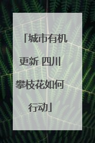 城市有机更新 四川攀枝花如何行动