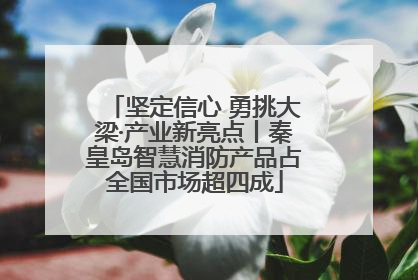 坚定信心 勇挑大梁·产业新亮点丨秦皇岛智慧消防产品占全国市场超四成