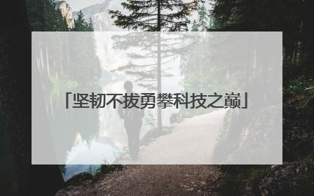 坚韧不拔勇攀科技之巅