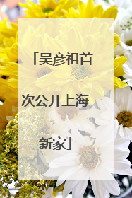 吴彦祖首次公开上海新家