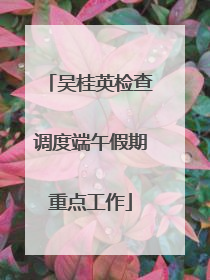 吴桂英检查调度端午假期重点工作