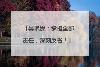 吴艳妮：承担全部责任，深刻反省！