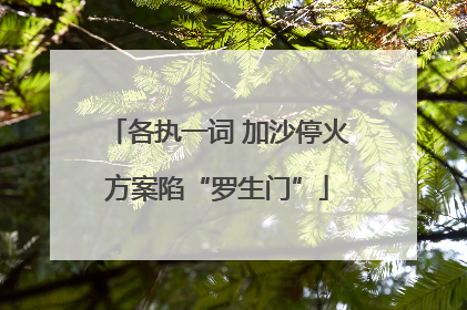 各执一词 加沙停火方案陷“罗生门”