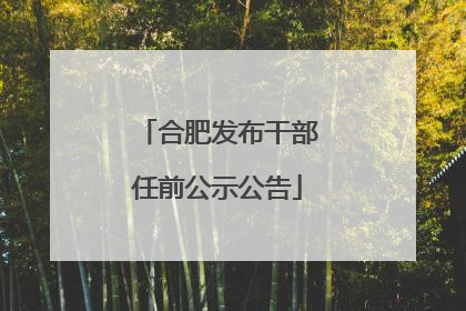 合肥发布干部任前公示公告