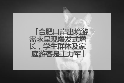合肥口岸出境游需求呈现爆发式增长，学生群体及家庭游客是主力军