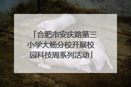 合肥市安庆路第三小学大杨分校开展校园科技周系列活动