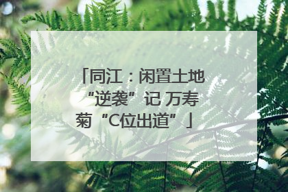 同江：闲置土地“逆袭”记 万寿菊“C位出道”