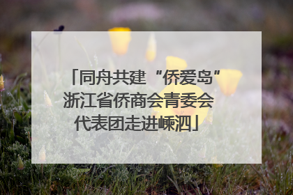 同舟共建“侨爱岛” 浙江省侨商会青委会代表团走进嵊泗