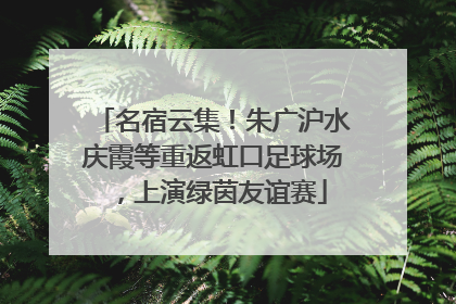 名宿云集！朱广沪水庆霞等重返虹口足球场，上演绿茵友谊赛