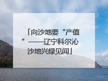 向沙地要“产值”——辽宁科尔沁沙地兴绿见闻