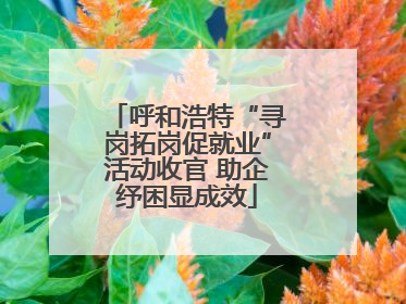 呼和浩特“寻岗拓岗促就业”活动收官 助企纾困显成效