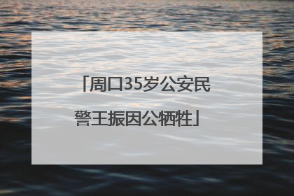 周口35岁公安民警王振因公牺牲