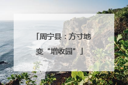 周宁县：方寸地变“增收园”