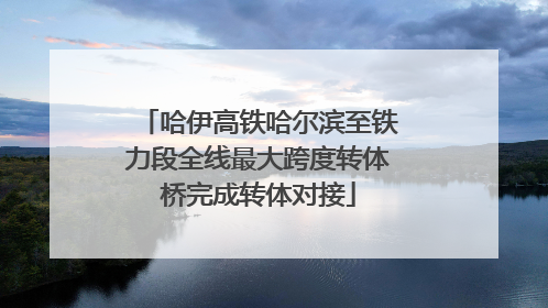 哈伊高铁哈尔滨至铁力段全线最大跨度转体桥完成转体对接