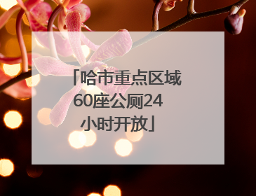 哈市重点区域60座公厕24小时开放