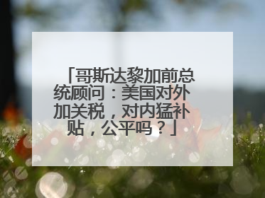 哥斯达黎加前总统顾问：美国对外加关税，对内猛补贴，公平吗？