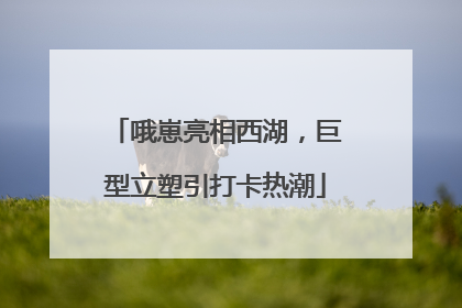哦崽亮相西湖，巨型立塑引打卡热潮