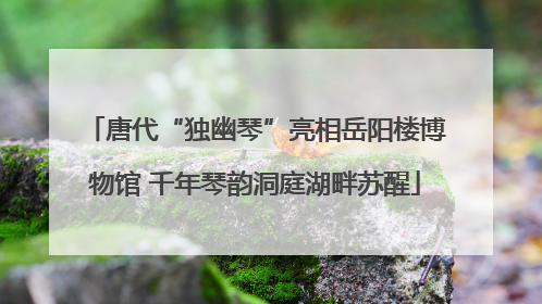 唐代“独幽琴”亮相岳阳楼博物馆 千年琴韵洞庭湖畔苏醒
