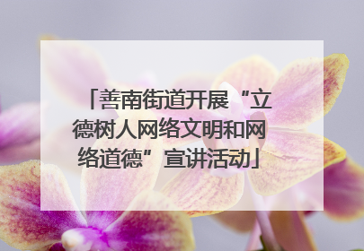 善南街道开展“立德树人网络文明和网络道德”宣讲活动