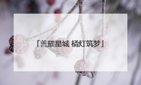 善耀星城 橘灯筑梦