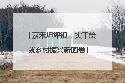 嘉禾坦坪镇：实干绘就乡村振兴新画卷
