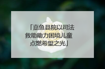 嘉鱼县院以司法救助助力困境儿童点燃希望之光